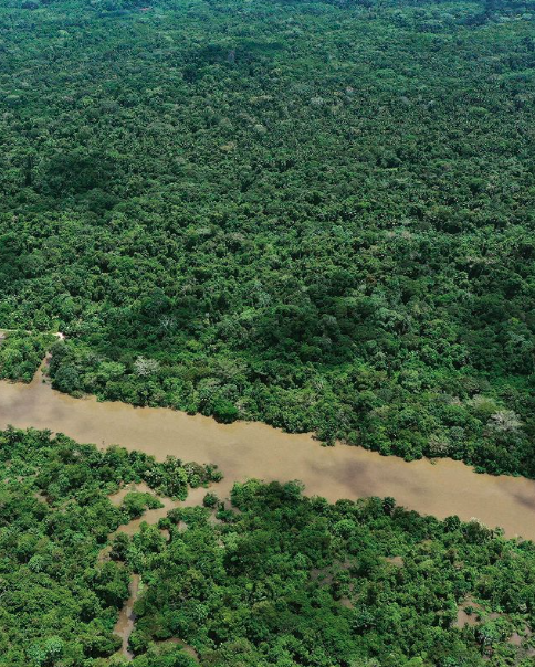 Saving the Amazon
