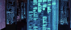 Metaverse, Meatverse and Metaphorverse