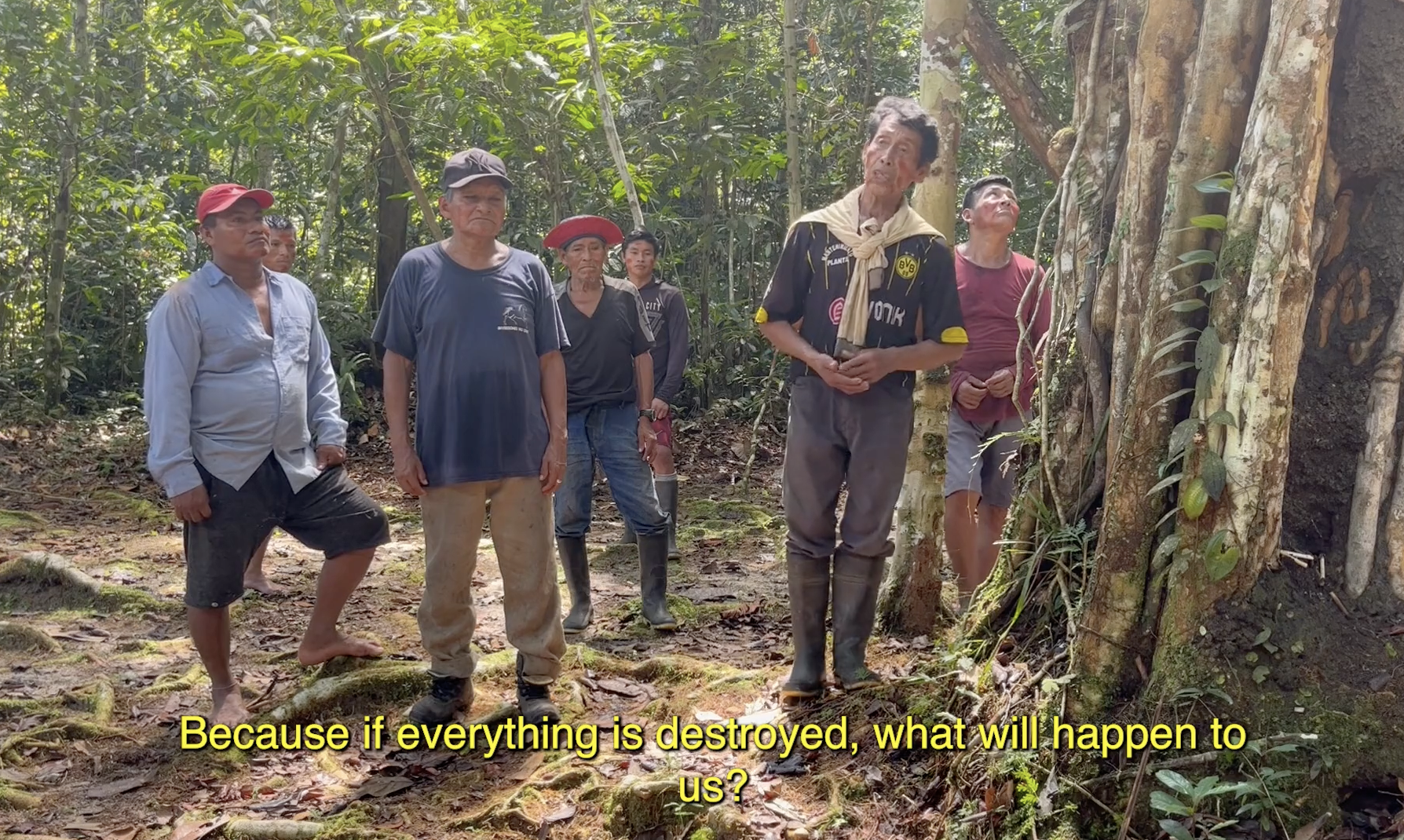 Saving the Amazon
