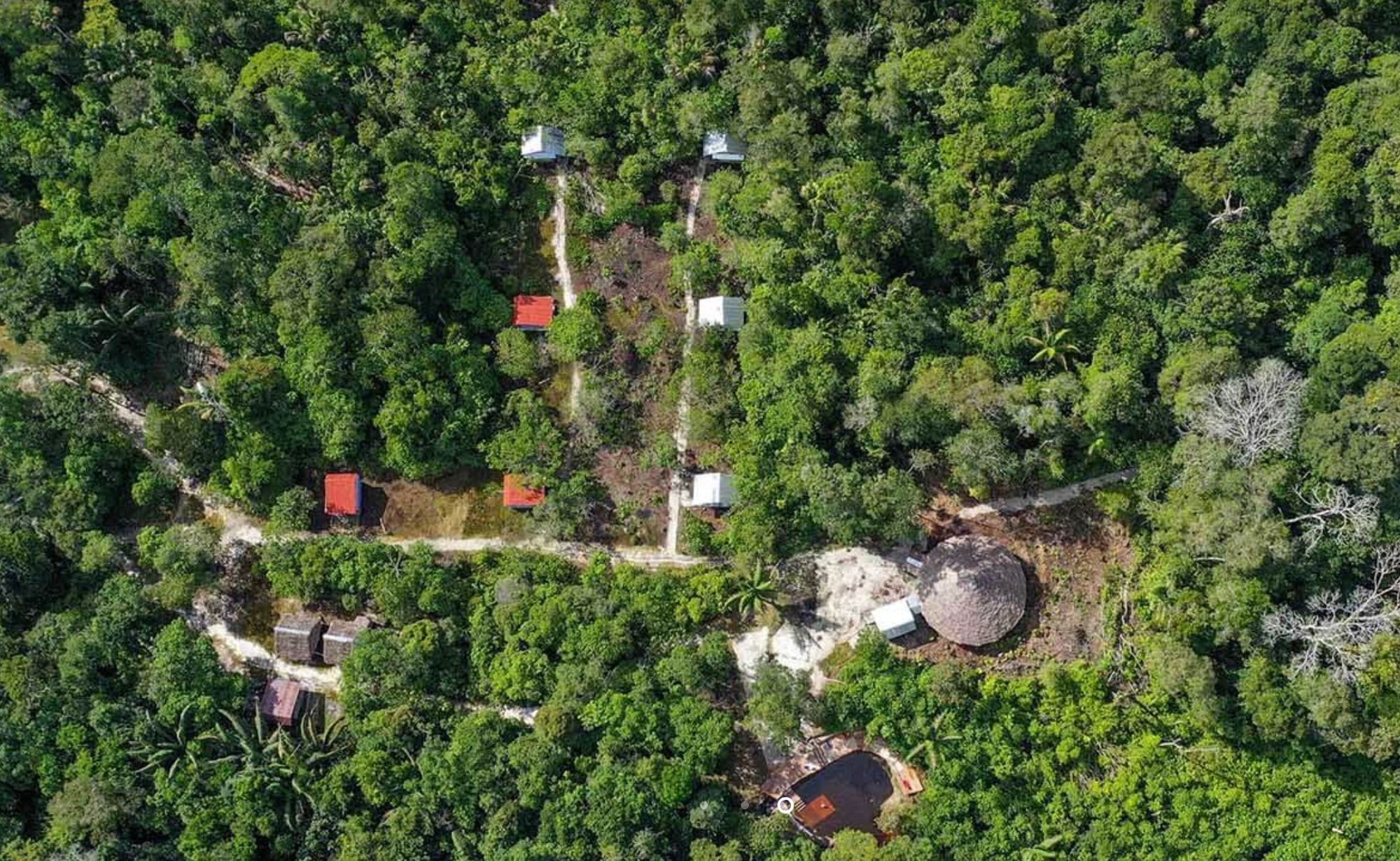 Saving the Amazon