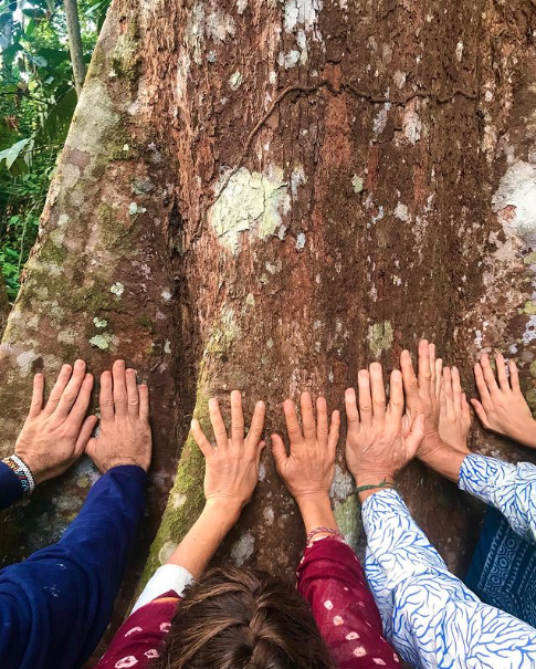 Saving the Amazon