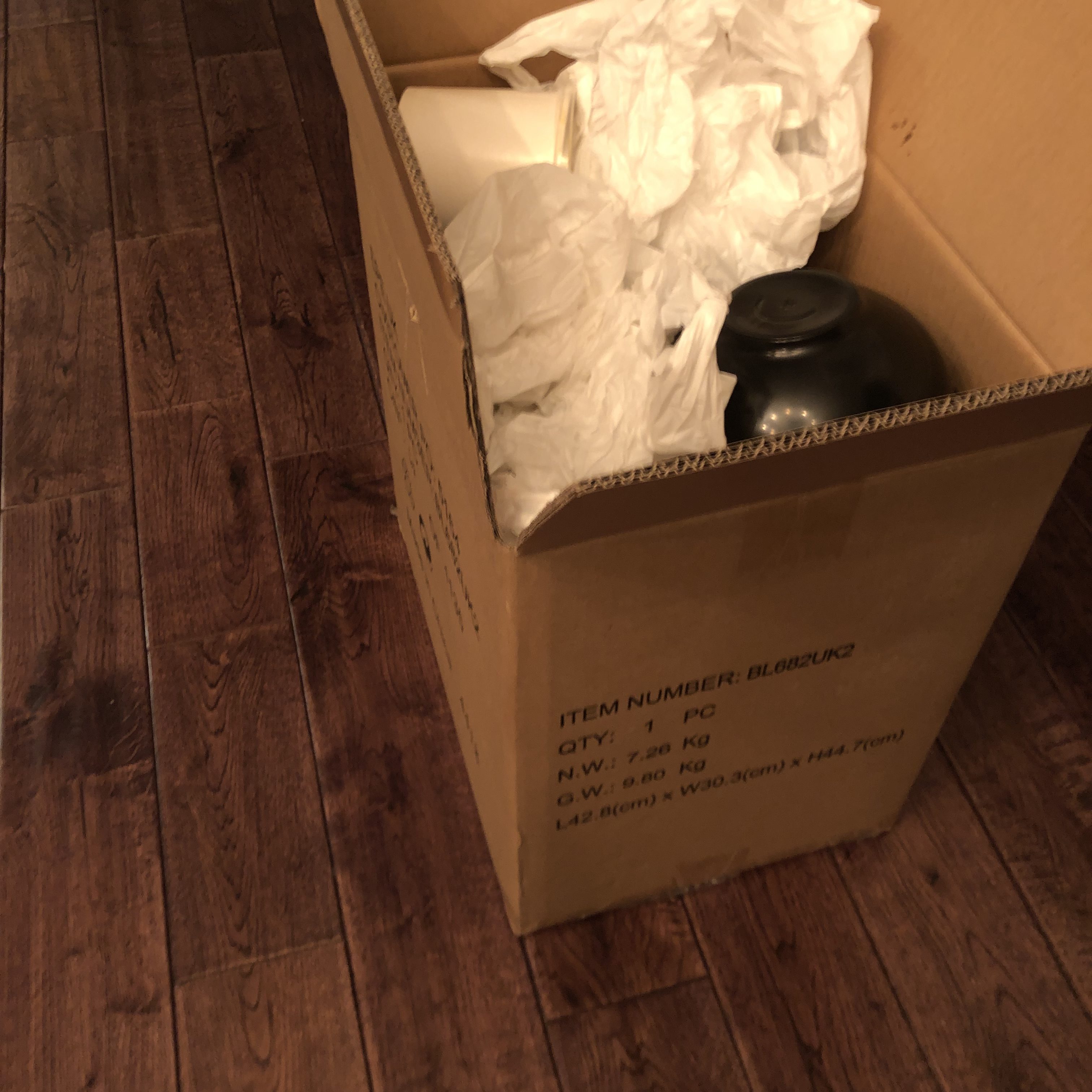 Wider shot of the cardboard box with the plastic inside