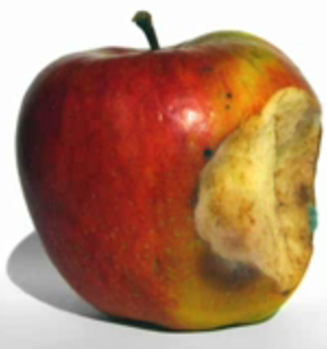 Apple's Ballmer phase